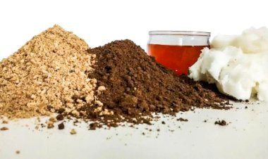 Missão apoiada pelo Mapa fortalece exportações do setor de reciclagem animal na África do Sul e na Turquia