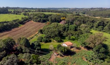 Qual cidade tem a terra rural mais valorizada de São Paulo?