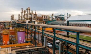 CerradinhoBio cresce no etanol e no açúcar e vê lucro subir 142 porcento