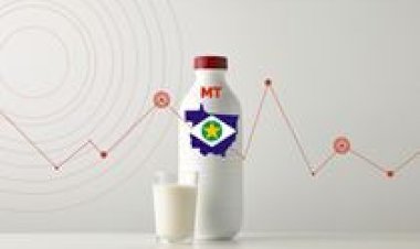 Conseleite/MT: divulga valor de referência do leite a ser pago em novembro/25