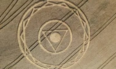 Desenhos gigantes surgem em lavoura de trigo e intrigam produtores em SC