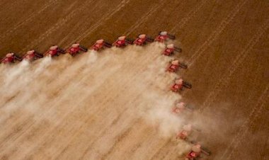 Abiove reduz previsão da safra de soja de 2026 para 177,7 milhões de toneladas