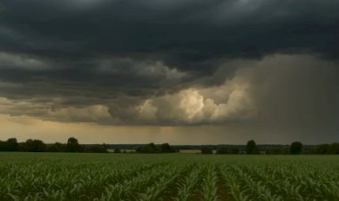 Temporais avançam pelo Brasil nesta quarta; Sul e Sudeste têm risco de chuva forte