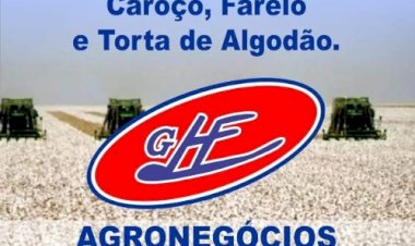 Goiás inicia calendário de plantio do algodão