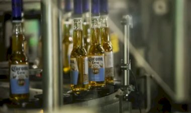 Ambev investe em Lages (SC) e inaugura nova linha para cervejas premium e sem álcool