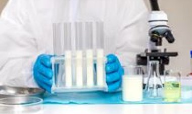 Pesquisadores criam higienizantes naturais para a produção de leite