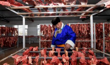 China adia decisão sobre salvaguarda da carne bovina para 2026