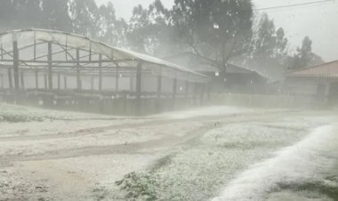 Santa Catarina anuncia força-tarefa e pacote de investimentos para reconstrução e apoio ao agronegócio