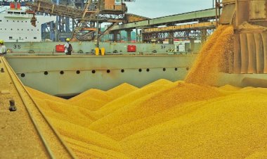 Safra de soja pode alcançar recorde com 178 milhões de toneladas