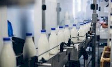 RS: produção de leite é pauta de discussão em audiência pública