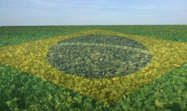 Manejo sustentável impulsiona subvenção do seguro rural em até 35 porcento na soja