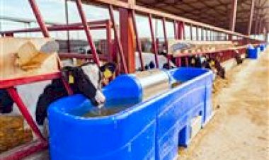 Os consumidores tem se preocupado mais com o uso da água no setor lácteo