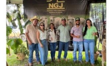 Técnicos da ABCZ destacam a qualidade genética na 3ª Feira de Touros Nelore NGJ - edição Castanheira (MT)