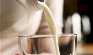 MG: leite tipo A2 é tema de debate em São João del-Rei