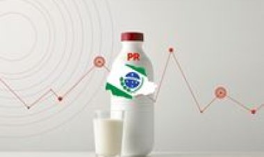 Conseleite/PR divulga projeção do valor de referência do leite a ser pago em dezembro/25