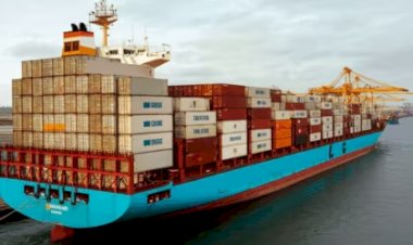 Exportações de pescados ganha impulso com novo convênio firmado entre ApexBrasil e Abipesca