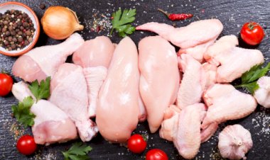 Desempenho do frango abatido em novembro e nos 11 primeiros meses de 2025