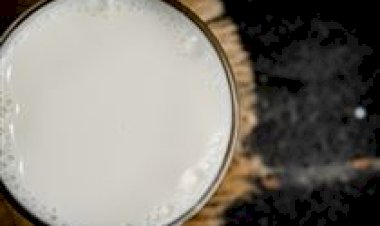 Investimento milionário marca nova fase da Trevo Lácteos