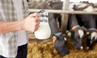 Produtores do Paraná reivindicam ações diante dos desafios do setor