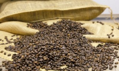 Infraestrutura estrangulada nos portos gera prejuízo de R$ 8,7 mi a exportadores de café em outubro