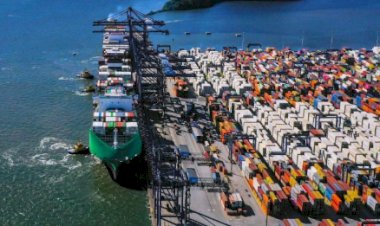 Carne bovina: crescem as exportações do Paraguai via Terminal de Contêineres de Paranaguá