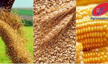 Endividamento e estiagem pressionam agro do Rio Grande do Sul, diz Farsul