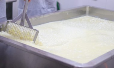 Depois do Paraná, Goiás proíbe a venda de leite líquido feito a partir de leite em pó importado