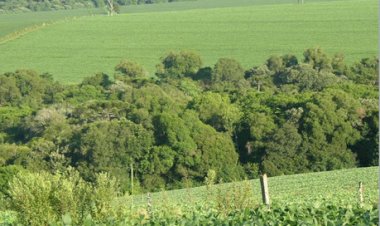 IBGE adia Censo Agro para 2027 por falta de recursos