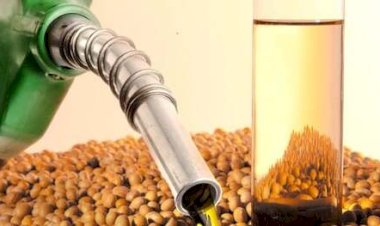 APROBIO reforça agenda estratégica para ampliação da mistura do biodiesel