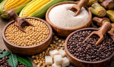 Commodities entram em 2026 sob pressão de clima, política e guerra comercial