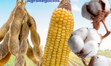 Cotações Agropecuárias