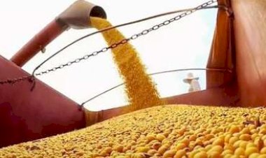 A Moratória da Soja acabou? A lei que mudou critérios e o impasse no STF