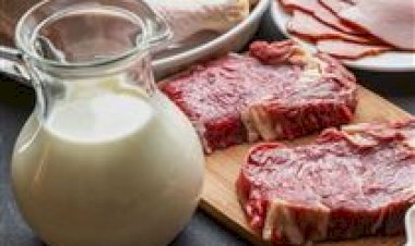 EUA: novas diretrizes alimentares reforçam o papel dos lácteos na saúde