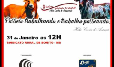 NELORE PINTADO DA CA - DE FÉRIAS EM BONITO