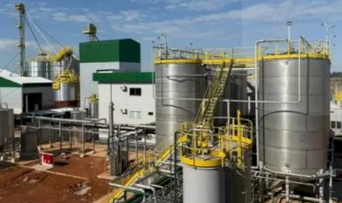 Novas usinas de etanol de grãos entram em operação em MT e RS