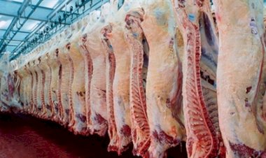 Carne bovina de Mato Grosso chega a mais de 90 países em 2025