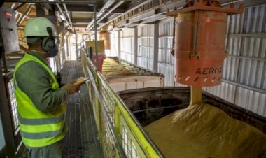 MT e RS mudam regras fiscais para etanol e frigoríficos