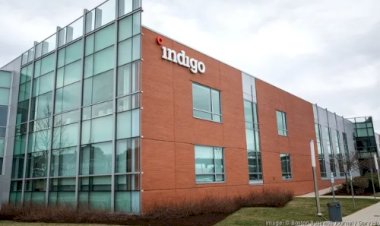 Indigo vende 2,85 milhões de créditos de carbono à Microsoft em contrato de 12 anos