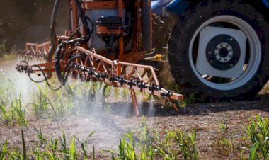 O que está por trás da proposta do governo para banir agrotóxicos “ultraperigosos”