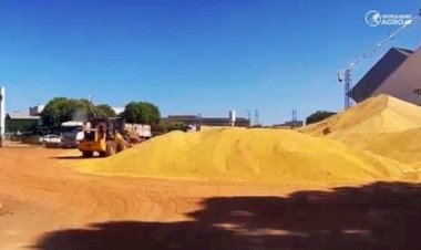 Cotações Agropecuárias