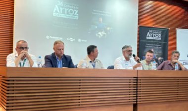 Abertura da Colheita do Arroz deve reunir 21 mil visitantes no Sul do Estado