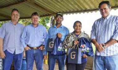 Primeiros animais inseridos no Programa Uberaba Mais Genética são inseminados