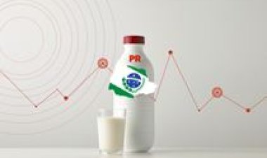 Conseleite/PR projeta valor de referência do leite a ser pago em fevereiro/26