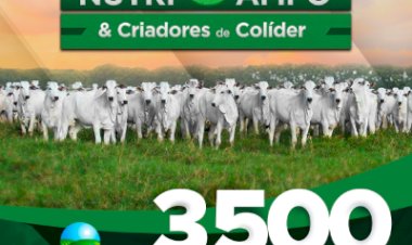 18º LEILÃO AGROCAMPO NUTRICAMPO E CRIADORES DE COLÍDER