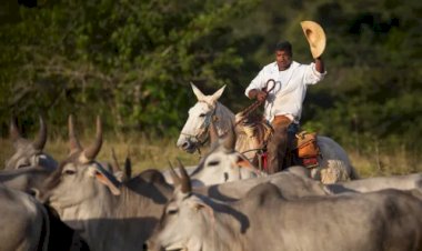 Produtor rural terá que trocar o chapéu pelo capacete? Governo esclarece