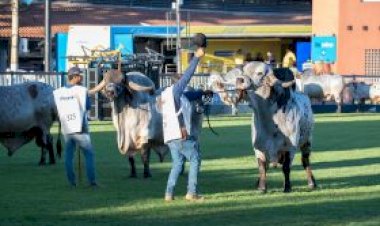 ABCZ e ABCGIL unificam regulamento do Gir Leiteiro na ExpoZebu