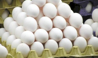 O recorde das exportações dos ovos e o efeito dominó no prato do brasileiro