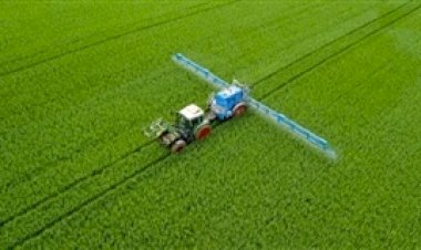 Dessecação exige atenção à qualidade da aplicação