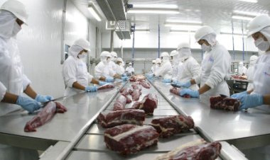 Exportações brasileiras de carne bovina explodem na parcial de fev/26