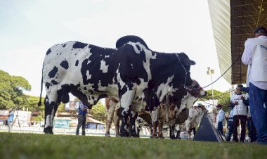 Expoinel Minas reuniu mais de 1.000 animais em Uberaba